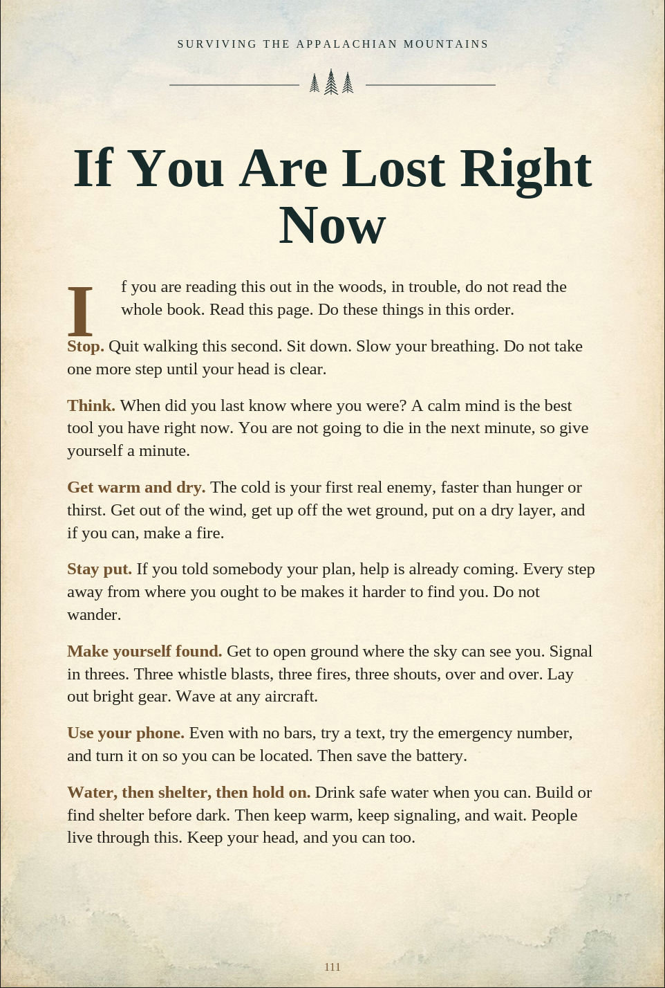 WHEN THINGS HAVE ALREADY GONE WRONG ebook page preview