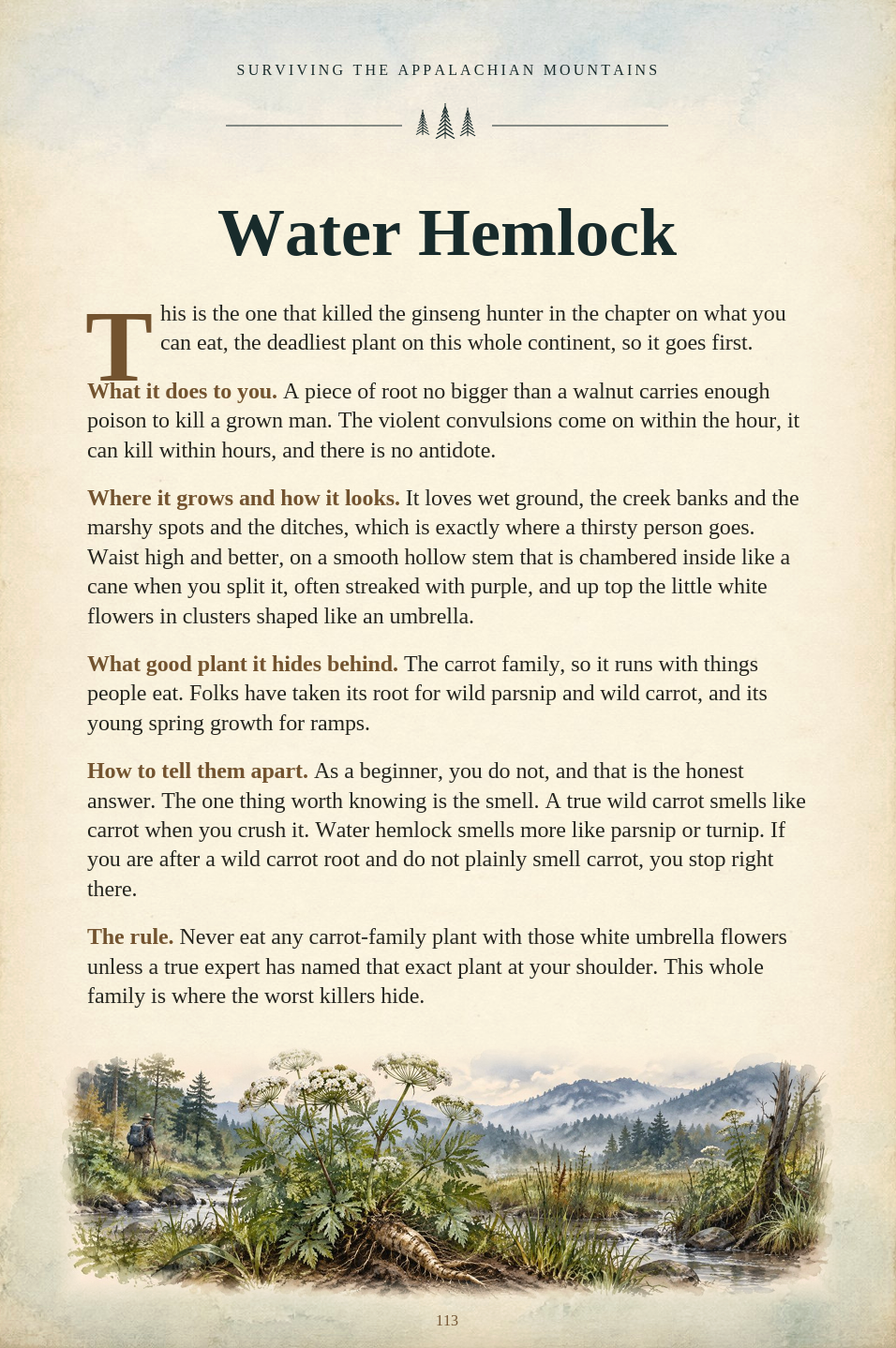 FIELD GUIDE ebook page preview